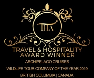 Logo for Travel & Hospitality Awards showing Archipelago Cruises as winner of Wildlife Tour Company of the Year 2019 in BC